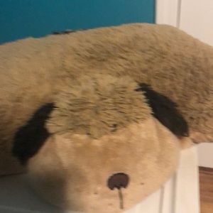 Pillow pet